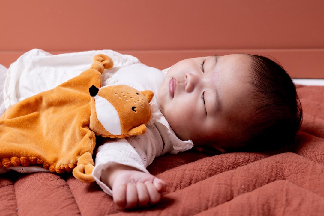Baby comforter - Mr. Fox